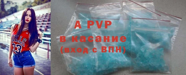 прущие грибы Красноперекопск