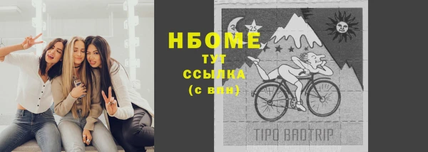 прущие грибы Красноперекопск