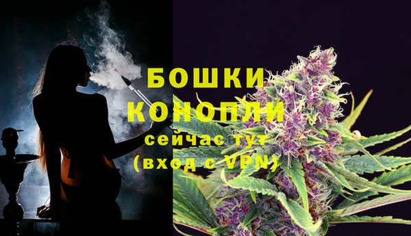 прущие грибы Красноперекопск