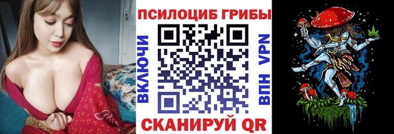 магазин  наркотиков  mega ссылка  Псилоцибиновые грибы Magic Shrooms  Лыткарино 