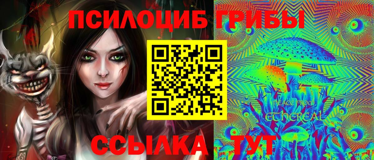 Галлюциногенные грибы Psilocybine cubensis Лыткарино
