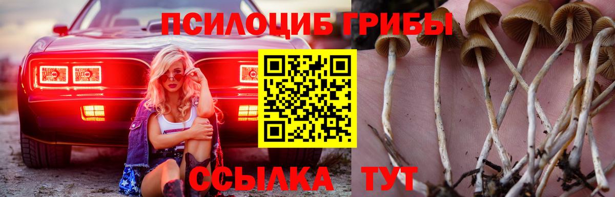 Лыткарино  сколько стоит  Вход с VPN  Галлюциногенные грибы мухоморы  Галлюциногенные грибы ЛСД 